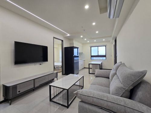 桃園高鐡站前喜徠登景觀精裝三房車