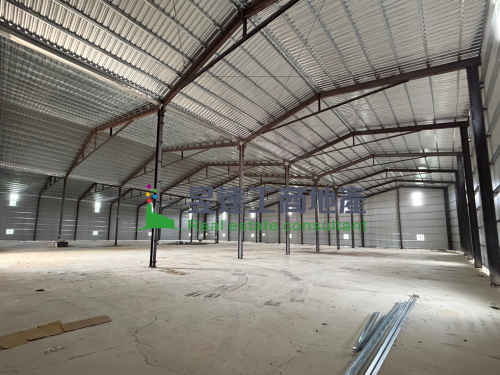 台31旁1600挑高倉庫廠