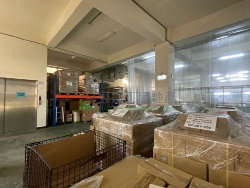 八德297面寬廠房