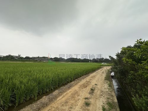 竹南科314特定區計畫農
