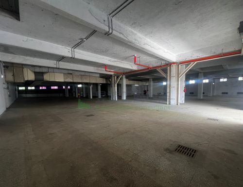 中壢可分租物流倉庫廠房