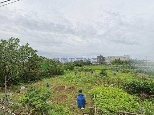 66快道旁3471美農
