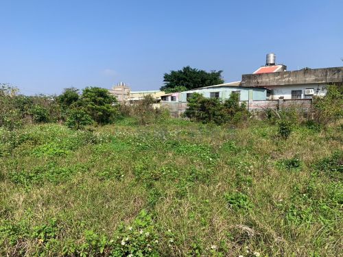 觀音293低總價雙臨路美農地