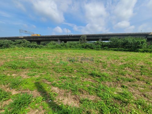 後龍正40米路5438交通用地+農地