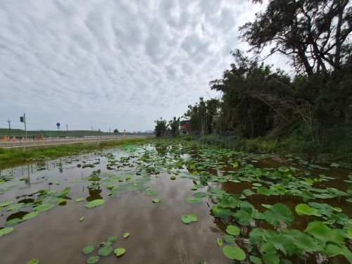 大園臨台15線雙面路農地