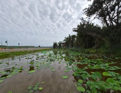 大園臨台15線雙面路農地