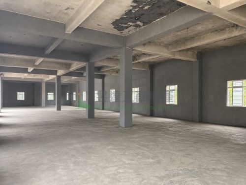 林口交流道倉庫305廠房