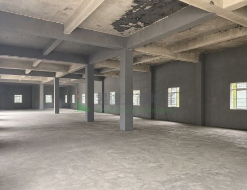 林口交流道倉庫305廠房