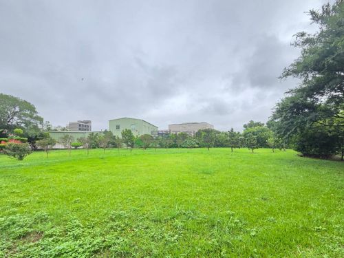 大園都計內996美農地