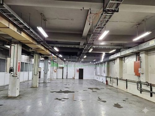 近土城工業區透天廠房