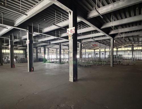 觀音工業區3400廠房