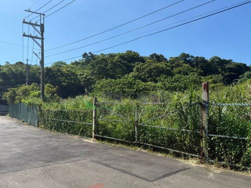 鶯歌3044丁工用地