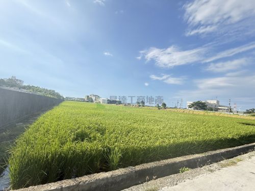 蘆竹海湖653交通用地