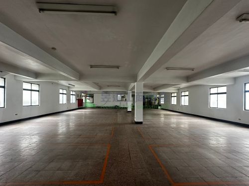 大柑園703大面寬RC廠