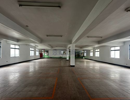 大柑園703大面寬RC廠