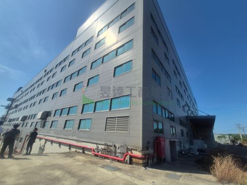 新豐4293物流廠(可分租)