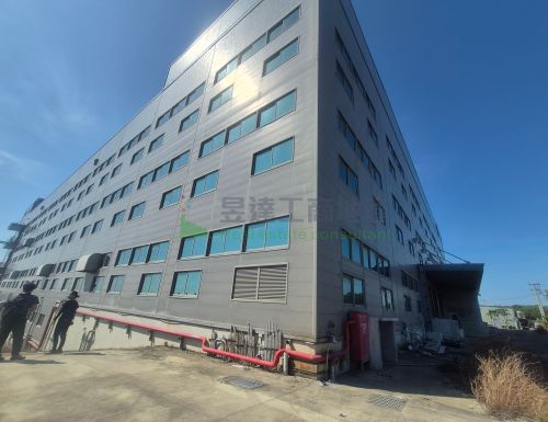 新豐4293物流廠(可分租)