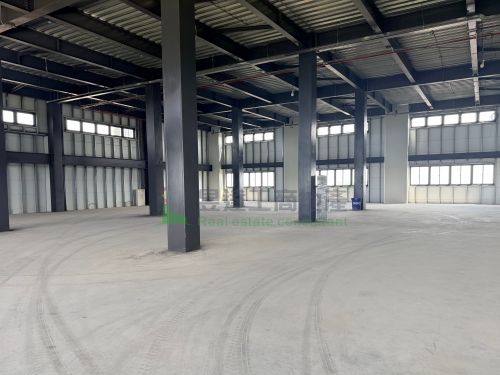 龍潭全新1197挑高廠房