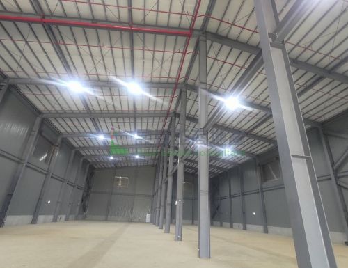 大園全新914挑高廠