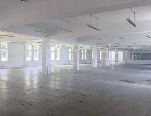 近淡水4072丁建廠+住宅