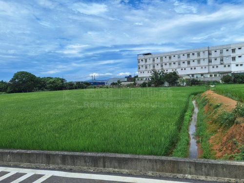 五青路901一般農