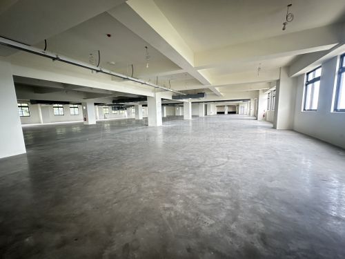 楊梅1367新穎RC廠房