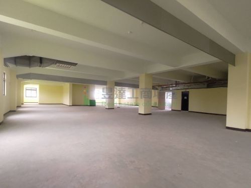 中壢全新1176工業廠房