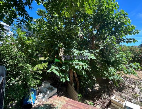 桃園區1084稀有建地