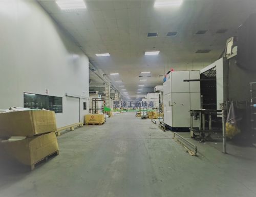 楊梅幼獅2687挑高廠房