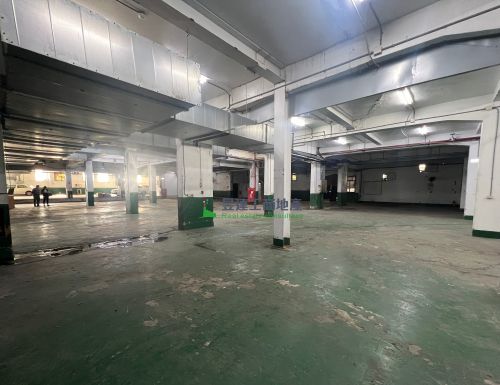 龜山工業區1231廠房