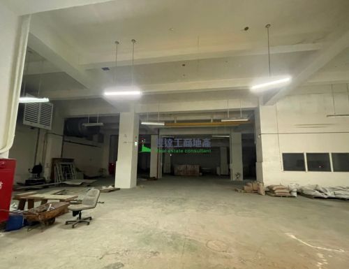 楊梅挑高10395大廠房