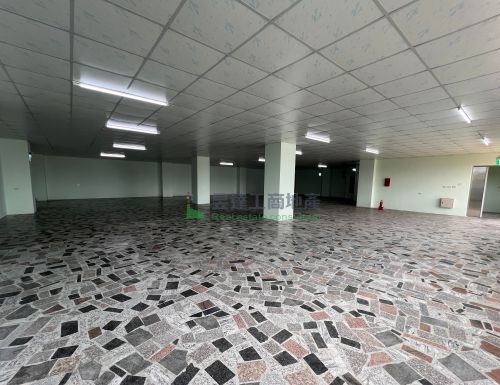 海湖150漂亮廠房