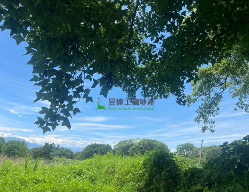 大溪699工業地
