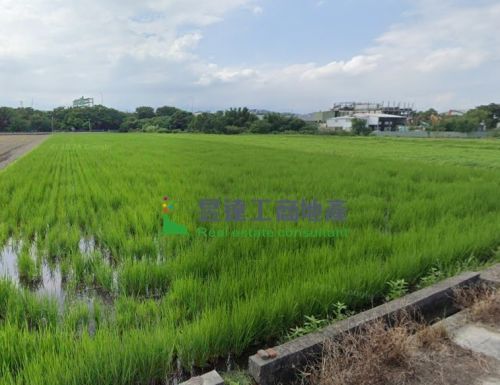 大矽谷頭份298徵收農地