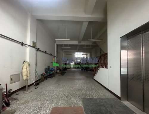 南崁RC216透天廠房