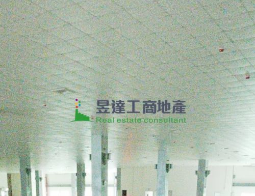 楊梅旗鑑級3419全新廠房