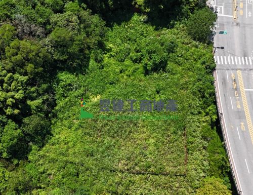 龜山省道旁1862工業地