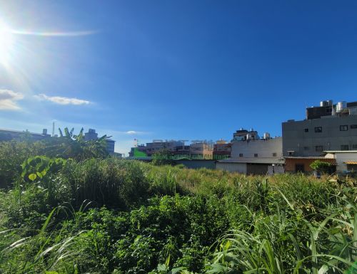 大園拔子林544建地