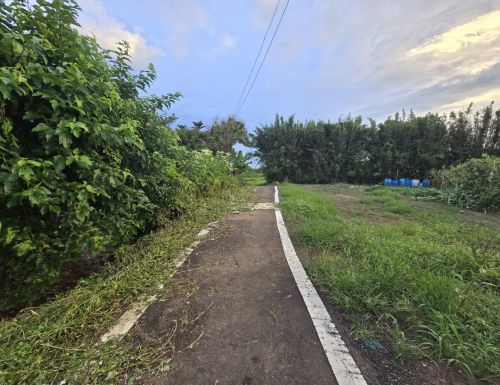 觀音區小坪數超值甲建