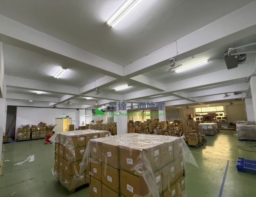 八德513新穎工業廠房