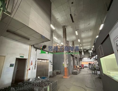 樹林165挑高收租鋼構廠