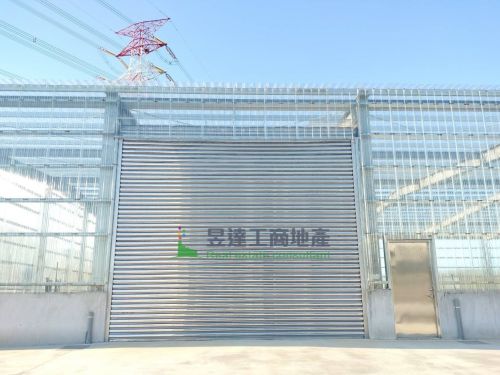 海湖715全新鋼構廠