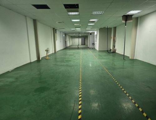 近台茂南山路乙工廠房