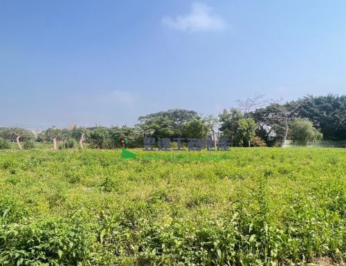 宜蘭高鐵核心1298徵收地