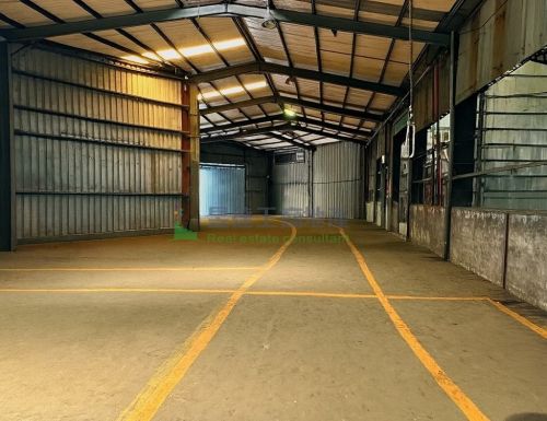 大園店面1093挑高廠房