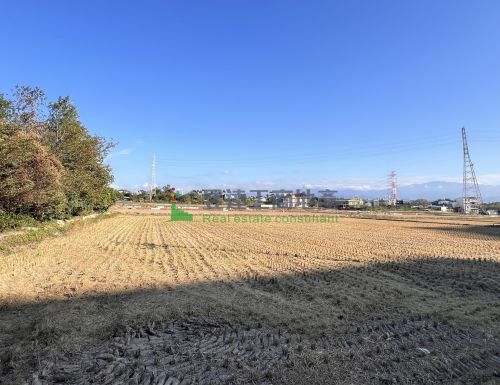 大矽谷1053頂埔段徵收