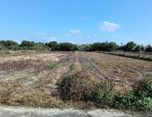 大園竹圍段762徵收地