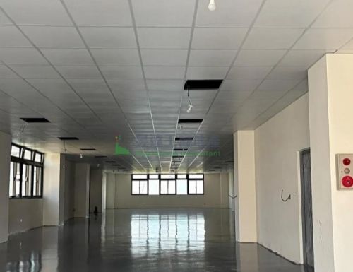 龜山文工一路全新乙工廠房