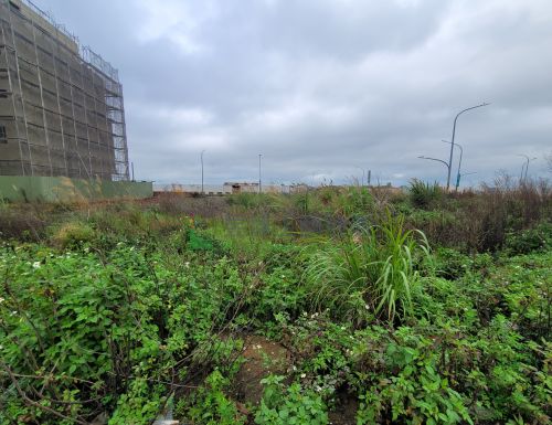 大園航空城32建地