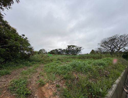 楊梅近30米面887寬農地